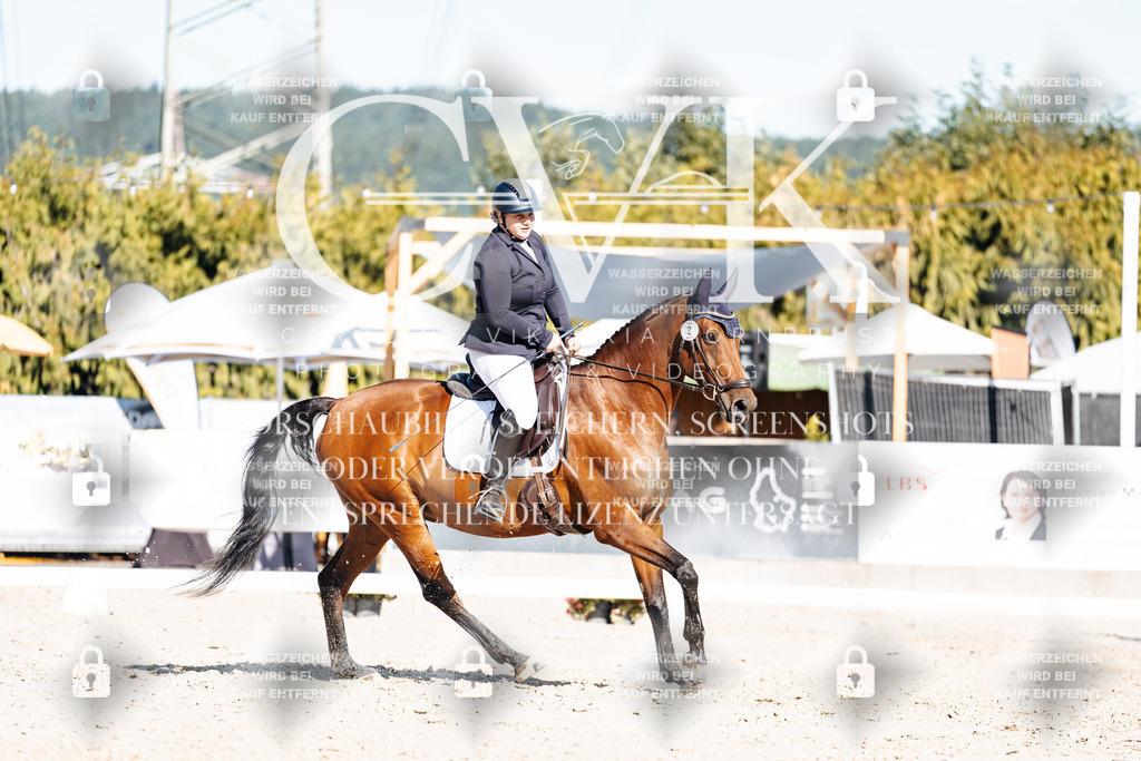 CK908032 | Turnierfotografie Pferdefotografie Trier Rheinland-Pfalz Pferdesport Reitsport Tierfotografie Sportfotografie Pferdevideo Pferdevideografie Equestrianvideography equestrianphotography  - Realisiert mit Pictrs.com