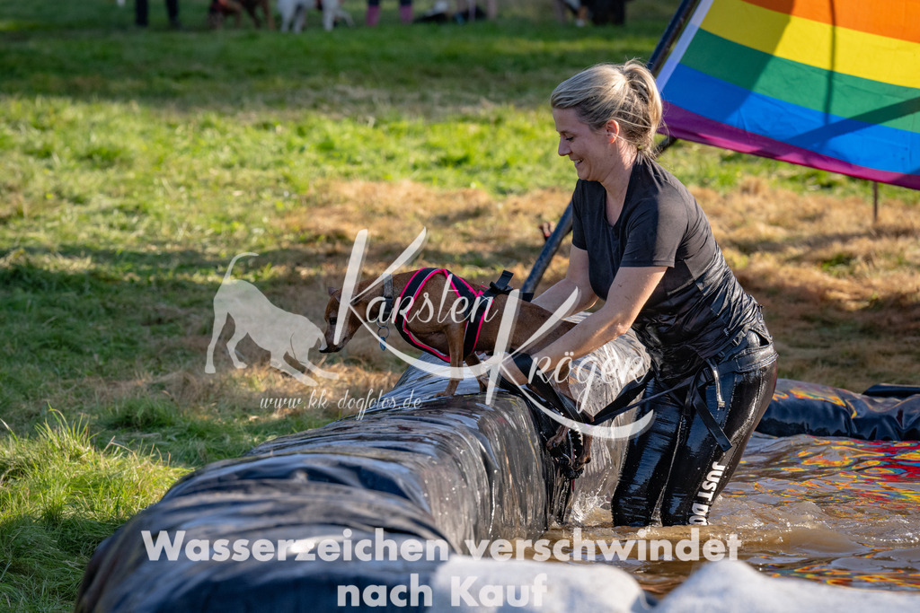 1734_ZZ91046 | kk-dogfotos