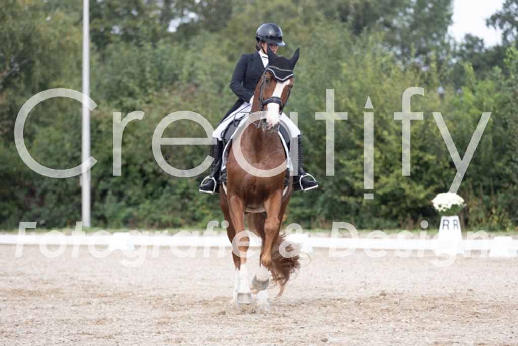 IMG_4781 | Creatify Fotografie