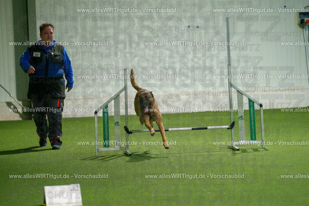 7R507501 | Professionelle Tierfotografie in Mönchengladbach von Daniel Wirth (allesWIRTHgut). Liebevolle & natürliche Bilder von Hunden & Katzen für unvergessliche Erinnerungen.