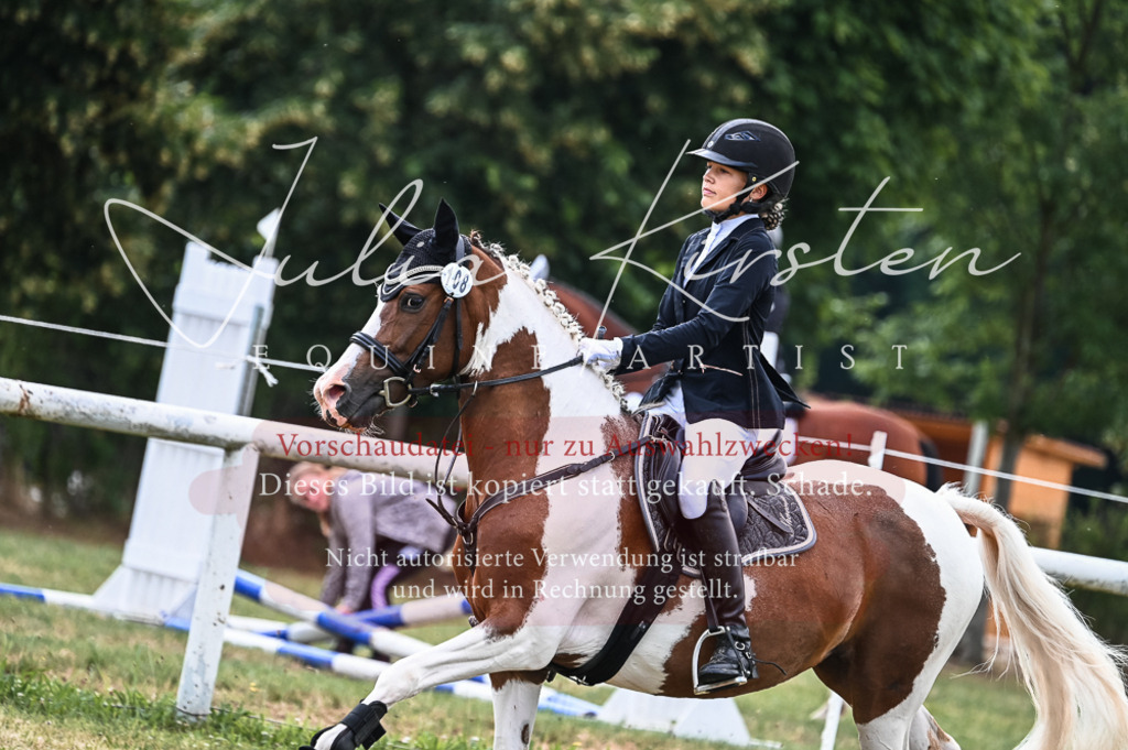 DSC_8549 | Pferde- und Turnierfotografie in Westsachsen. Pferdeportraits, Auftragszeichnungen und intuitive Kunst.
