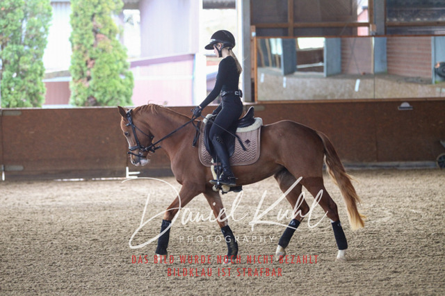 DKP42586 | Turniersportfotografie; Pferdefotografie; Dressurfotografie