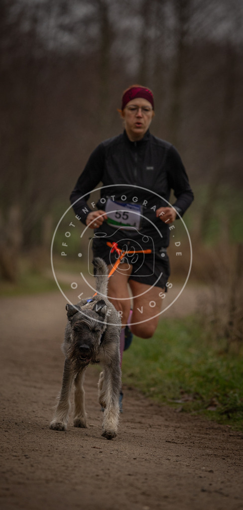 Pfotenfotografie_DV3A3031 | Hundefotografie, Tierfotograf, Pfotenfotografie, Fotoshooting Hund, Hunde Portrait, Hundesport, Hundeportraits, Heideshooting, Hunde, Sportfotograf, Hundefotograf, Turnierhundsport, THS,  - Realisiert mit Pictrs.com