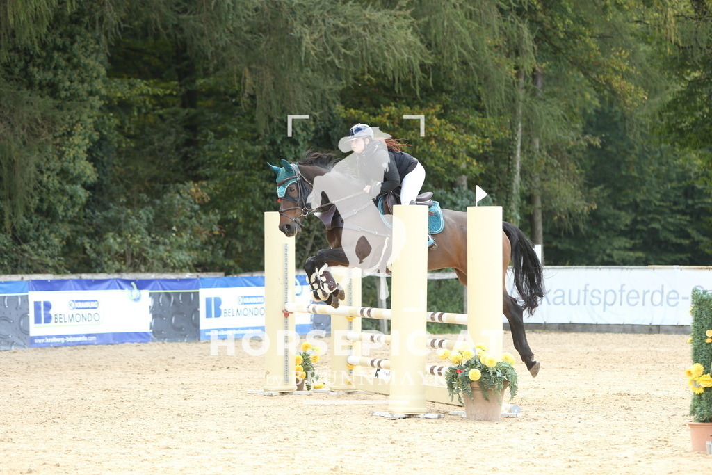 DL2Q6703 | Willkommen bei Brunnmayr - Design & Fotografie – Ihrem Spezialisten für Reitturniere und Pferdeveranstaltungen in Oberösterreich, Salzburg und Bayern! Seit über 17 Jahren sind wir leidenschaftlich dabei.