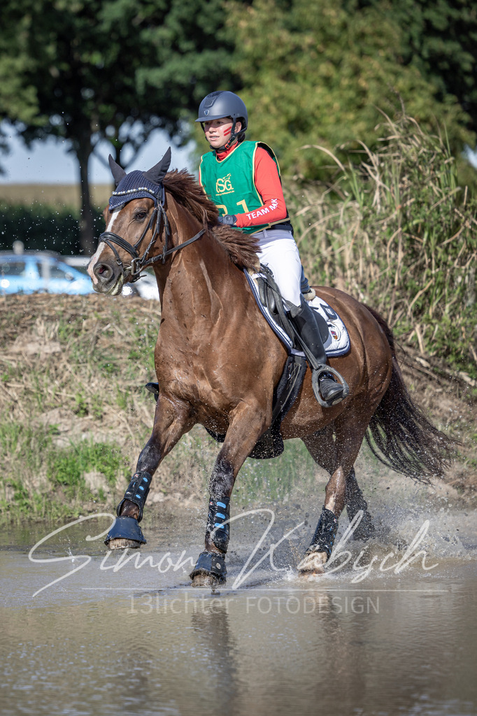 20250907-_3LI3197 | Tierfotografie Pferde, Hunde, Katzen, Haustiere.
Turnierfotografie Reitturniere, Reiten, Springreiten, Dressur in Hanau, dem Main-Kinzig-Kreis und dem Rhein-Main- Gebiet um Frankfurt