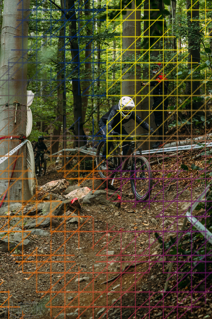 PAE-0941 | Einzigartige Fotokunst für dein Zuhause: Entdecke hochwertige Wandbilder, edle Prints und emotionale Motive von Wildlife, Natur und Landschaften - Realisiert mit Pictrs.com