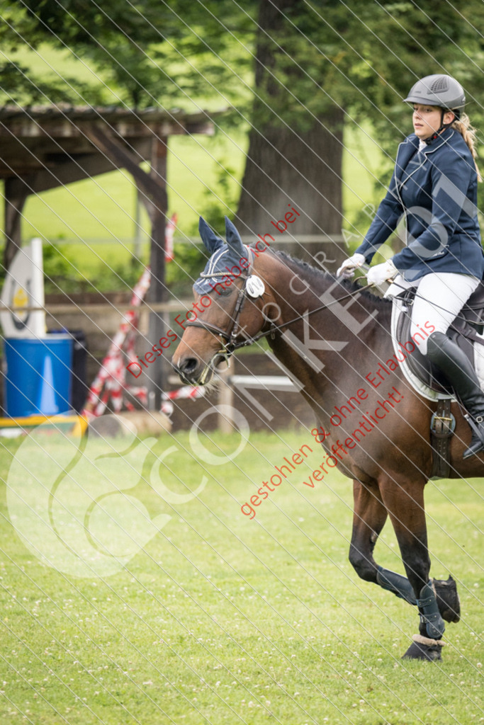 IMG_2545 | Sport-, Event- und Tierfotos in Profiqualität. Einfach auswählen, bestellen und herunterladen. Dein Moment – perfekt festgehalten.