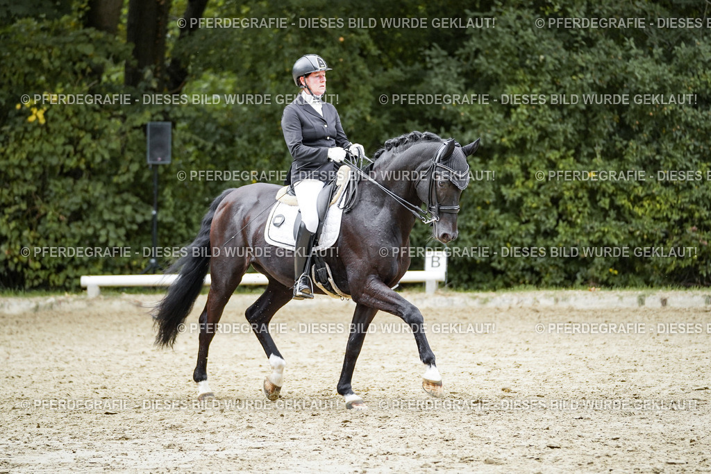 DSC02153 | Pferdegrafie