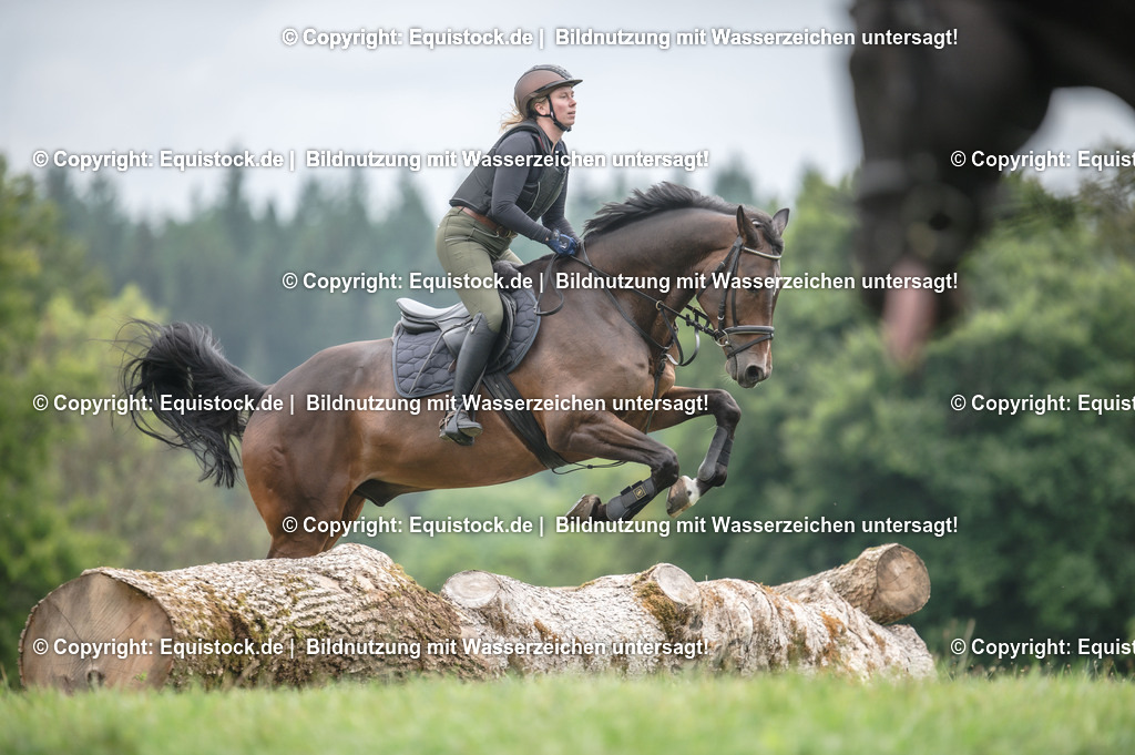 20250726_Vielseitigkeitslehrgang-Marbach_0810 | Foto: Thomas Hartig
