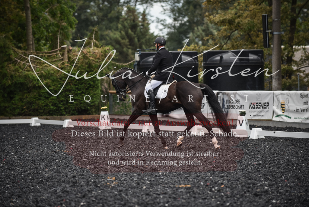 DSC_4932 | Pferde- und Turnierfotografie in Westsachsen. Pferdeportraits, Auftragszeichnungen und intuitive Kunst.