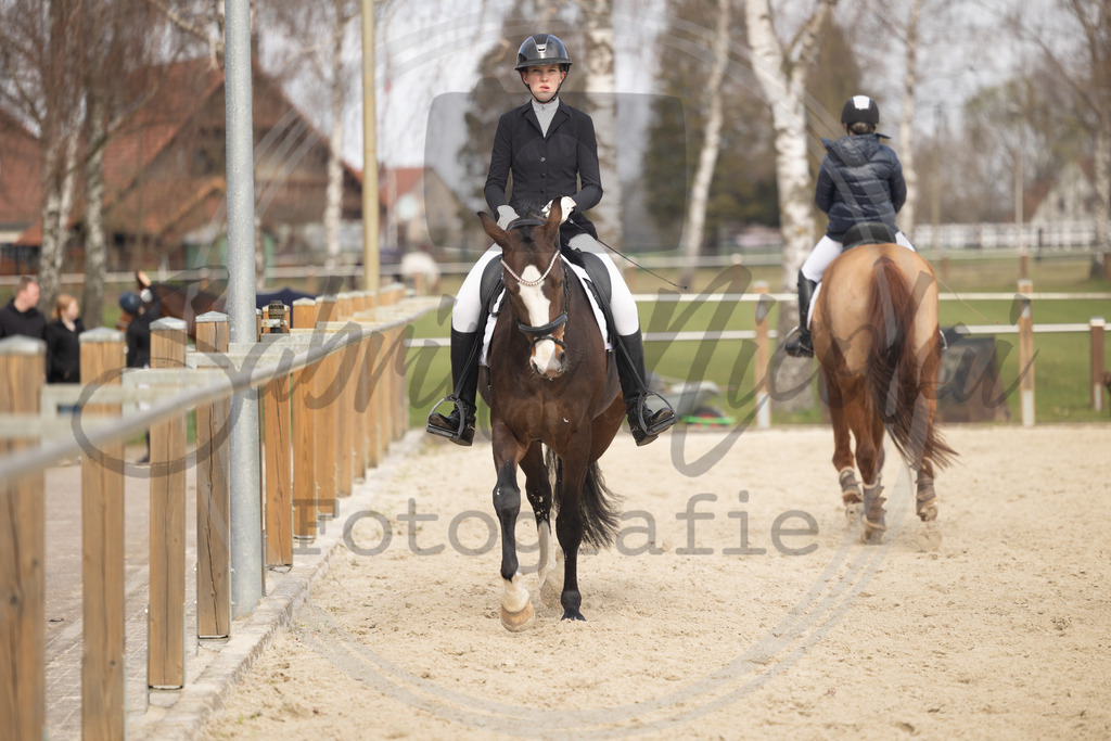 994A8726 | sabrinanicolaifotografie - Realisiert mit Pictrs.com