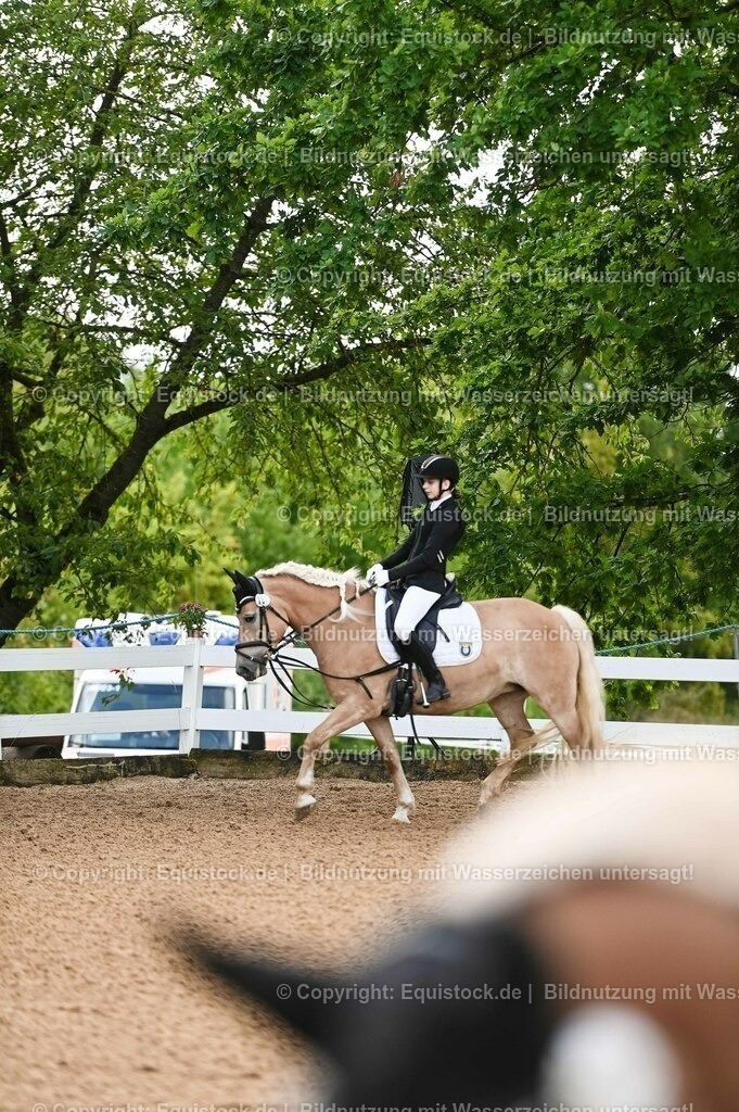 20230716_10-1_Reiter-WB Schritt - Trab - Galopp_0216 | equistock