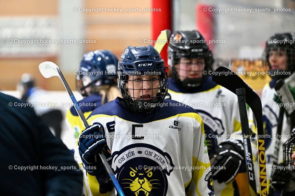 Wildcats Paternion vs. Lady Hawks  | Spielerbank Wildcats Paternion, #16 Anton Sandra WILDCATS PATERNION, Wildcats Paternion vs. Lady Hawks , Wildcats Paternion vs. Lady Hawks  am 27.01.2025 in Spittal an der Drau (Eissportzentrum Spittal), Austria, (Photo by Bernd Stefan)