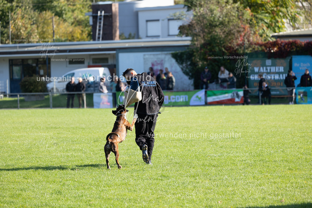 _16A5105 | Einzigartige Fotos von Hunden & Menschen –Actionfotos, Portraits, Vereinsaufnahmen & Paarshootings – authentisch, lebendig & mit Herz.