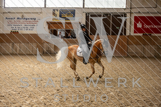 2L2A4191 | stallwerkstudio - Realisiert mit Pictrs.com