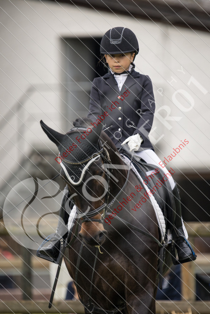 IMG_1780 | Sport-, Event- und Tierfotos in Profiqualität. Einfach auswählen, bestellen und herunterladen. Dein Moment – perfekt festgehalten.