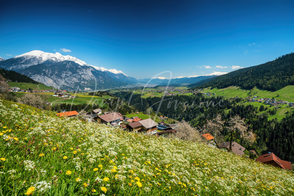DSC03310 | Professioneller Fotograf - Bildbestellung online - Wandbilder vom Profi für ihr Zuhause, Büro, Praxis, Firma - große Auswahl an Materialien und Formaten, über 1400 regionale Motive