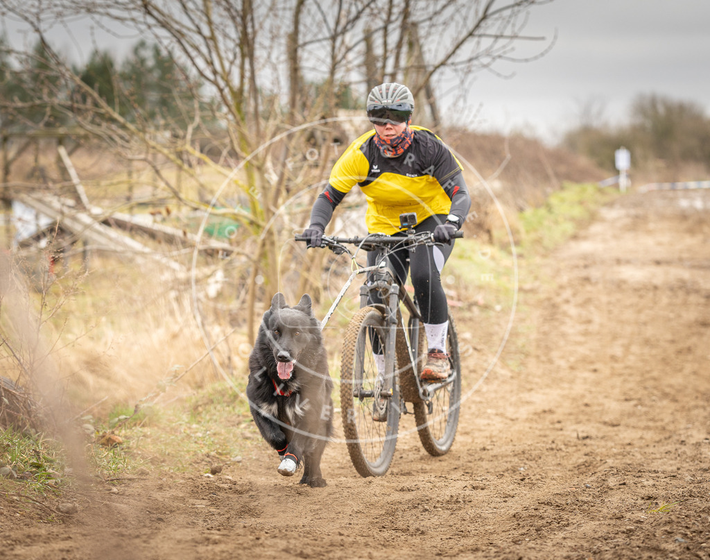 DV3A0783 | Hundefotografie, Tierfotograf, Pfotenfotografie, Fotoshooting Hund, Hunde Portrait, Hundesport, Hundeportraits, Heideshooting, Hunde, Sportfotograf, Hundefotograf, Turnierhundsport, THS,  - Realisiert mit Pictrs.com