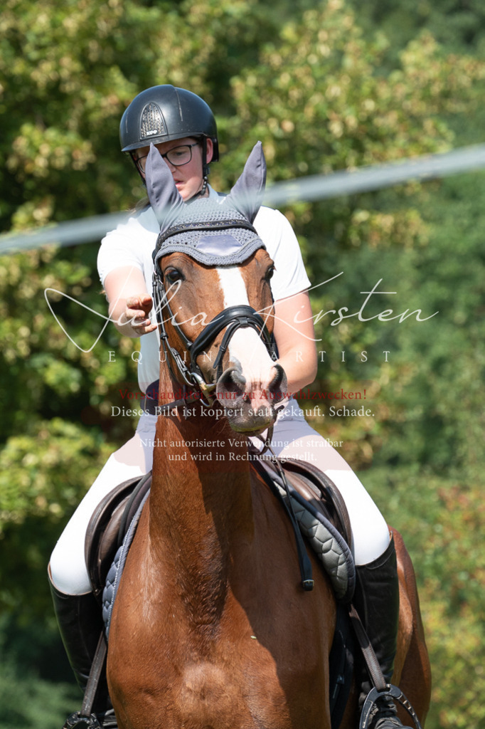 DSC_0832 | Pferde- und Turnierfotografie in Westsachsen. Pferdeportraits, Auftragszeichnungen und intuitive Kunst.