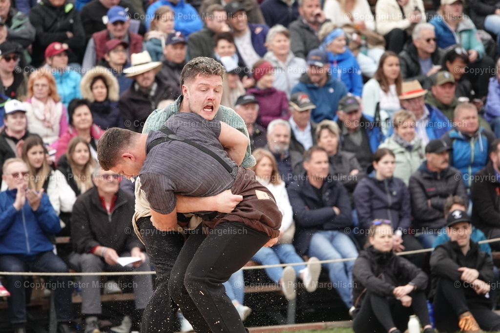 DSC03365 | Schwingen - Realisiert mit Pictrs.com