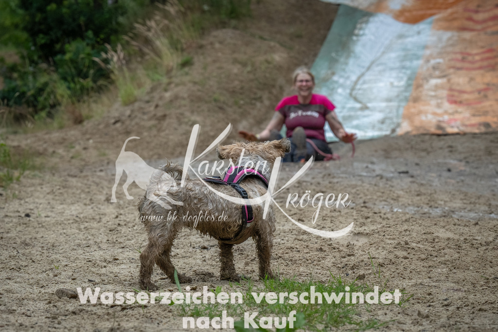 1619_ZZ90908-Bearbeitet | kk-dogfotos