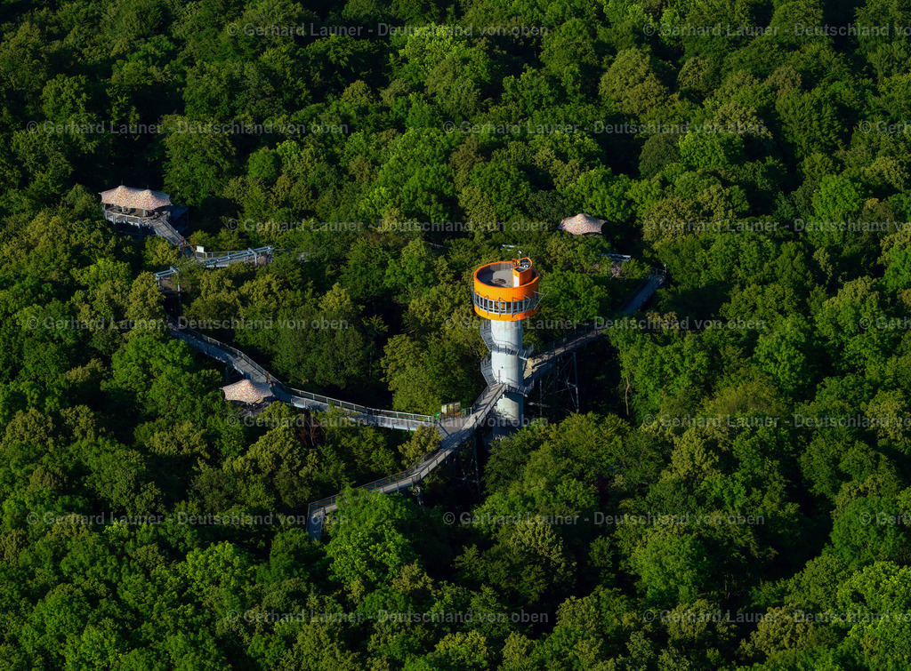 3204396 | Baumkronenpfad Hainich Nationalpark