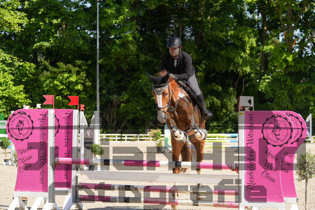 DSC02136 | Julian Held Fotografie - Realisiert mit Pictrs.com