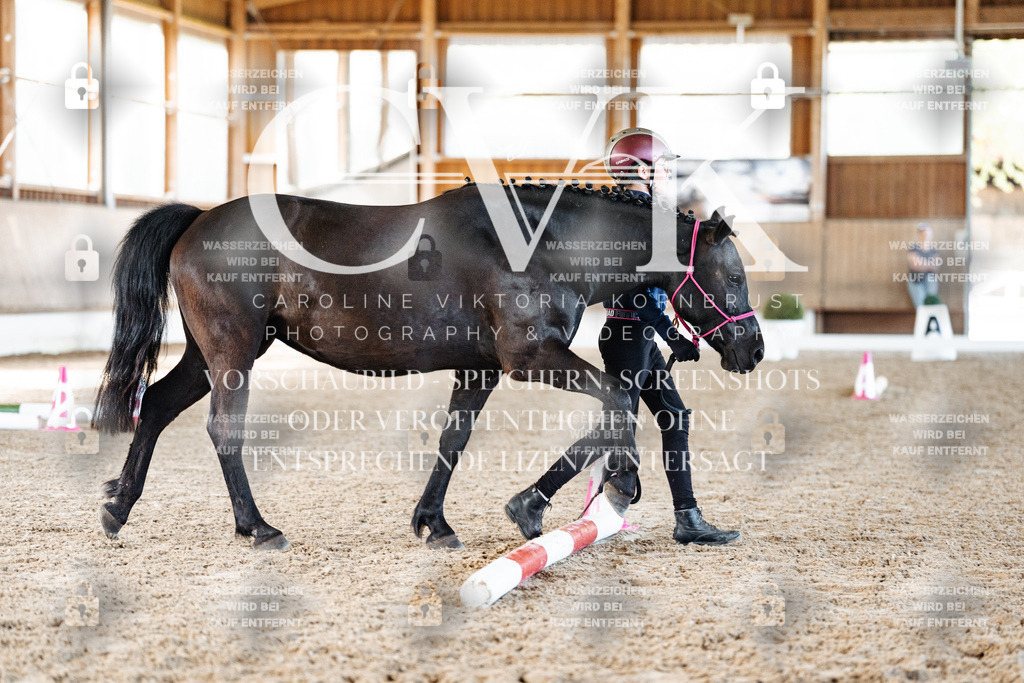 CK906003 | Turnierfotografie Pferdefotografie Trier Rheinland-Pfalz Pferdesport Reitsport Tierfotografie Sportfotografie Pferdevideo Pferdevideografie Equestrianvideography equestrianphotography  - Realisiert mit Pictrs.com