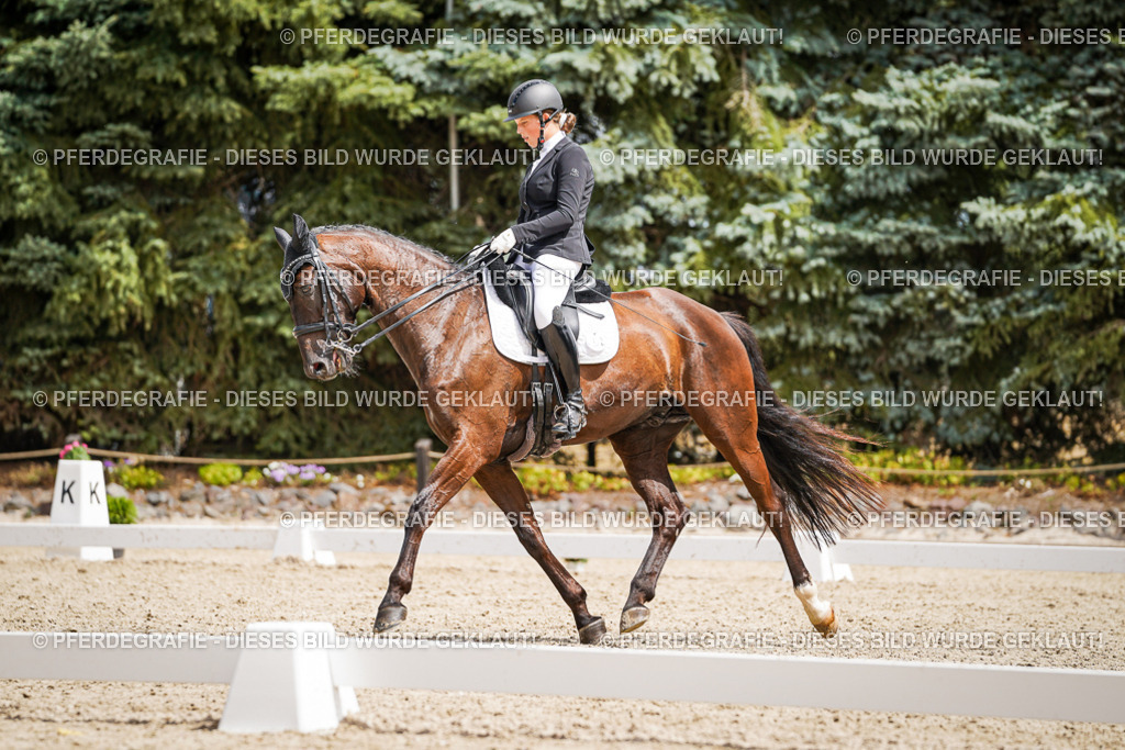 DSC03445 | Pferdegrafie