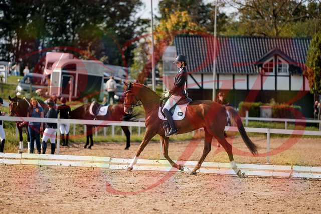 2026_10_03_Siefer-Hof_132809_Z63_88041060 | Professionelle Reitsport-, Turnier- und Eventfotografie von Robert Broda. Galerien mit ausgewählten und bearbeiteten Bildern direkt online ansehen und bestellen.