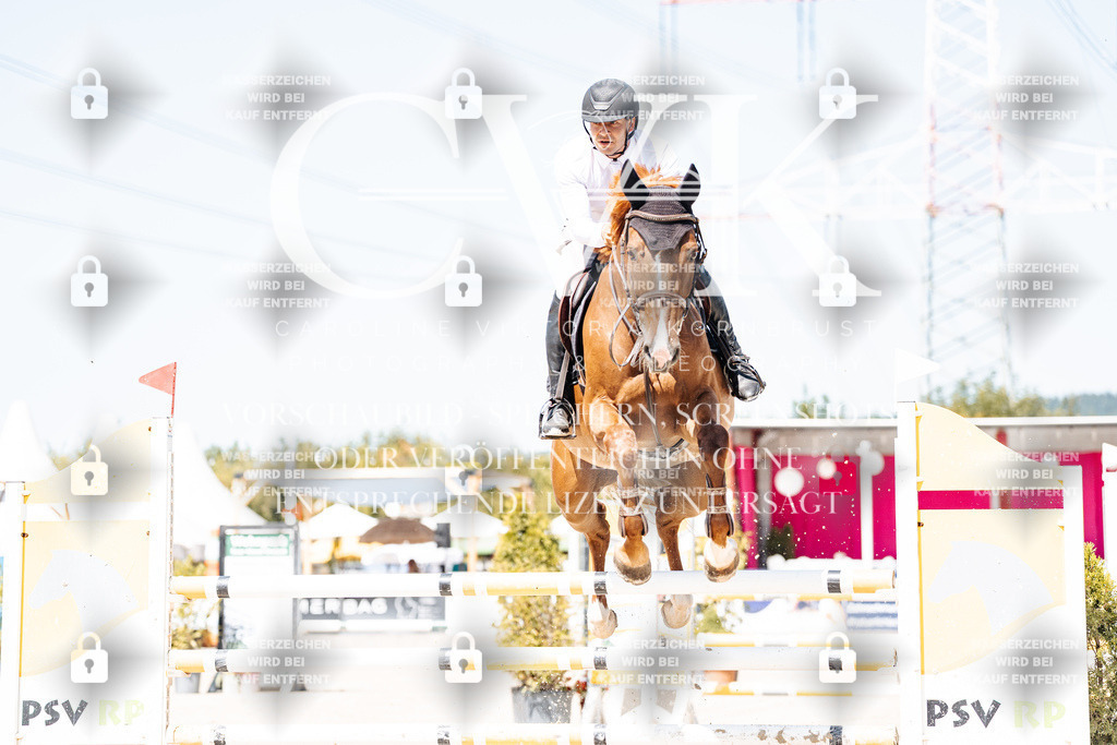 CK909521 | Turnierfotografie Pferdefotografie Trier Rheinland-Pfalz Pferdesport Reitsport Tierfotografie Sportfotografie Pferdevideo Pferdevideografie Equestrianvideography equestrianphotography  - Realisiert mit Pictrs.com