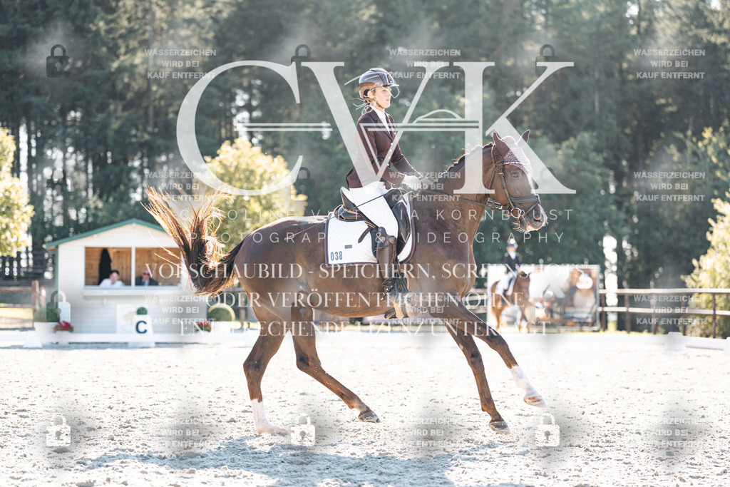 CK906600 | Turnierfotografie Pferdefotografie Trier Rheinland-Pfalz Pferdesport Reitsport Tierfotografie Sportfotografie Pferdevideo Pferdevideografie Equestrianvideography equestrianphotography  - Realisiert mit Pictrs.com