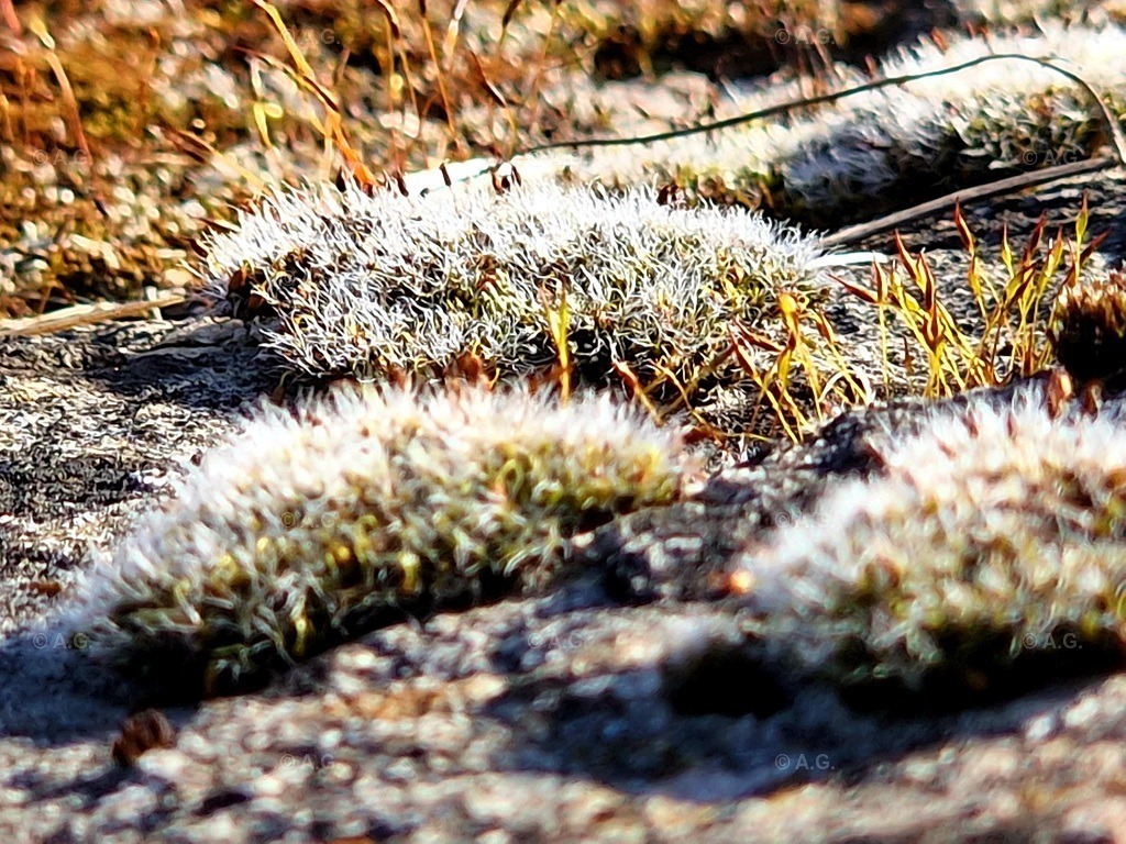 20220415_174355 | aileen-glaeser - Realisiert mit Pictrs.com