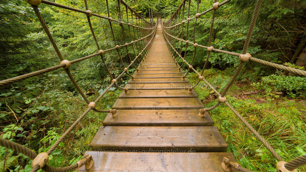 Erlebniswandern über eine Seilbrücke im Wald am Rothaarsteig | In einem Mischwald spannt sich eine Seilbrücke bis zum Horizont. Erlebniswandern auf dem Rothaarsteig in der Nähe von Schmallenberg. Fotografiert mit Weitwinkel Objektiv.