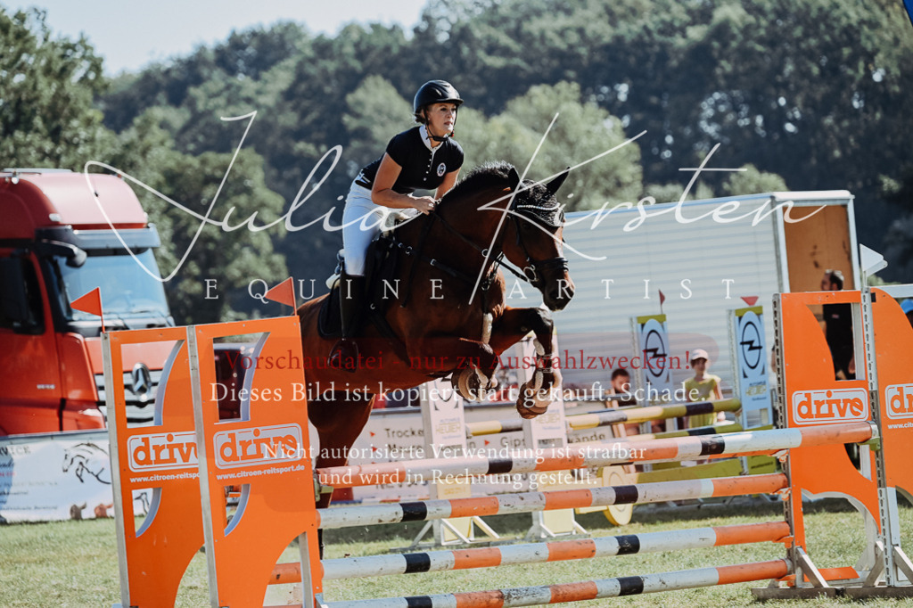 DSC_5814 | Pferde- und Turnierfotografie in Westsachsen. Pferdeportraits, Auftragszeichnungen und intuitive Kunst.