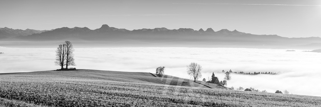 panorama view from Ballenbühl above autumn sea of fog in Emmental | Die ideale Geschenkidee für Naturliebhaber. Naturbilder von Marcel Gross Photography für ihr Zuhause in den verschiedensten Formaten und Materialien. - Realisiert mit Pictrs.com