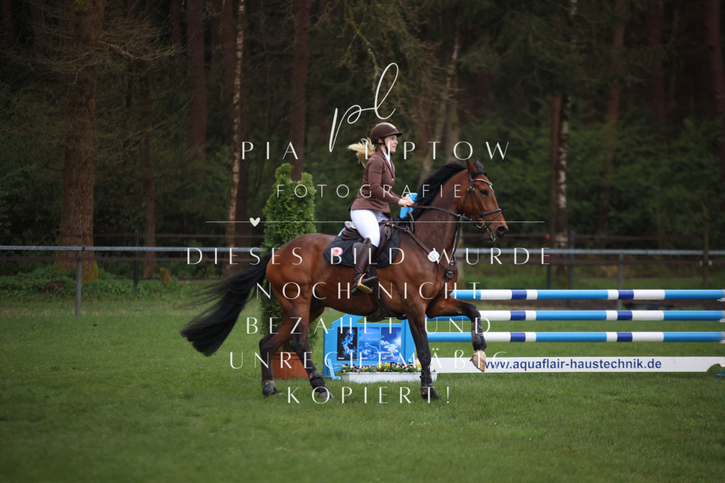 IMGT2568 | pl-fotografie