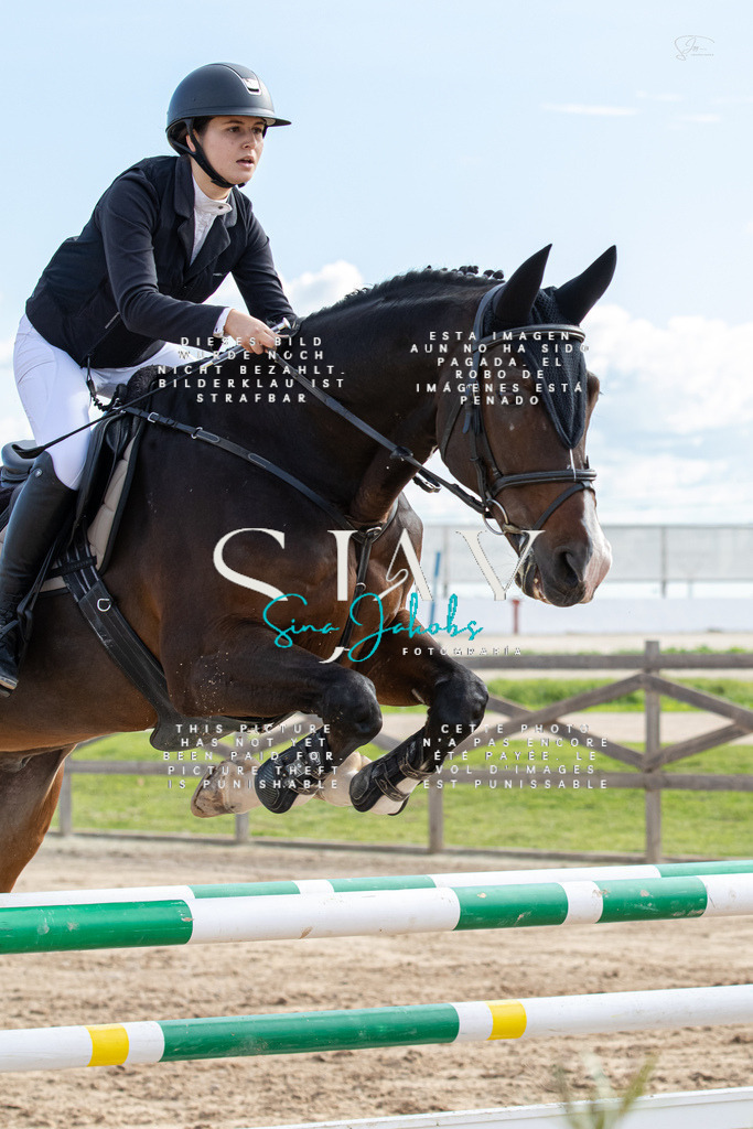 IMG_3286 | s-jay-photography - Realisiert mit Pictrs.com