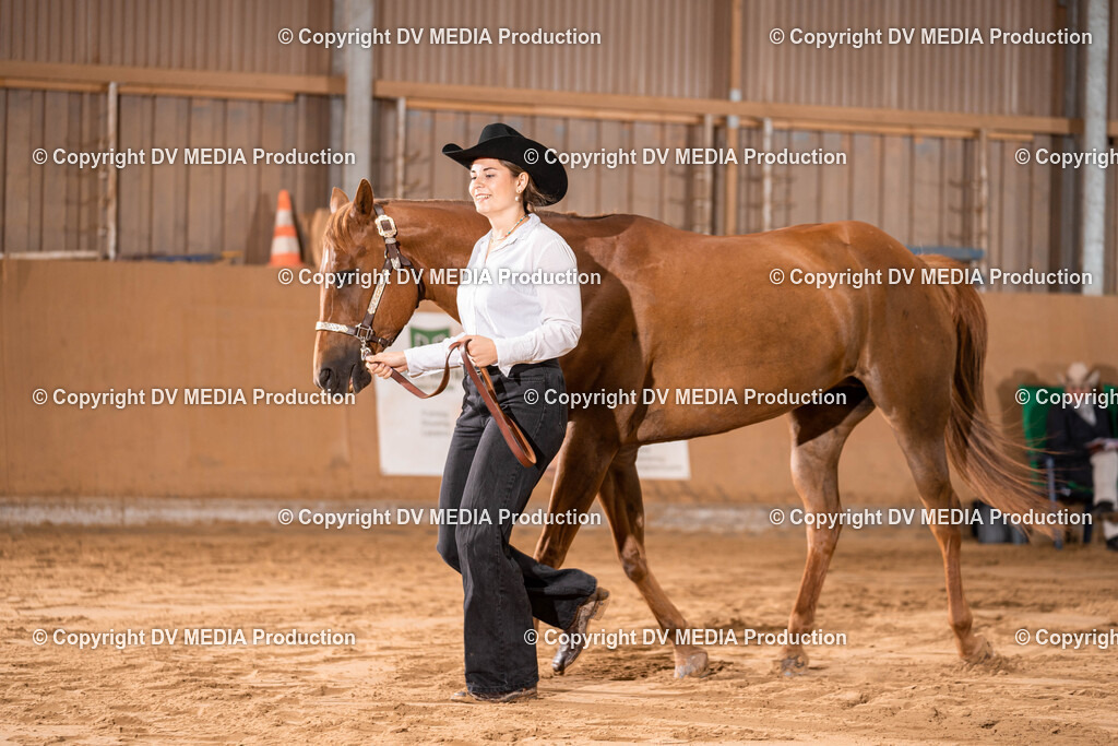 Losheim Tag 2-18 | dv-media-shop - Realisiert mit Pictrs.com