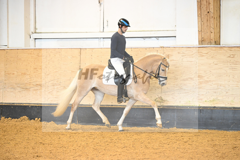 Kat-Nr. 4 Finja_Oswald_6222098 | hf-fotografie - Realisiert mit Pictrs.com