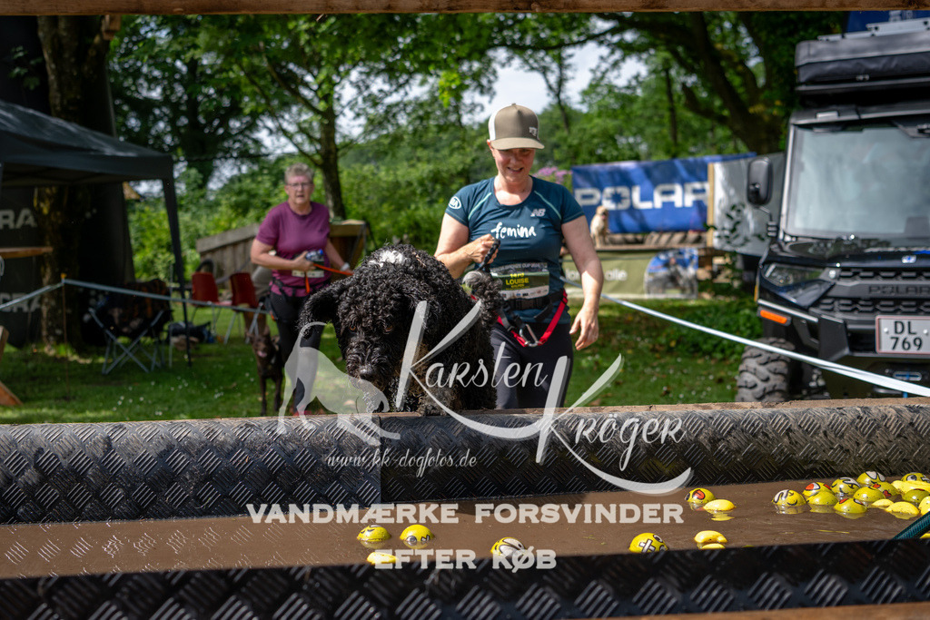 1113_ZZ92968 | kk-dogfotos