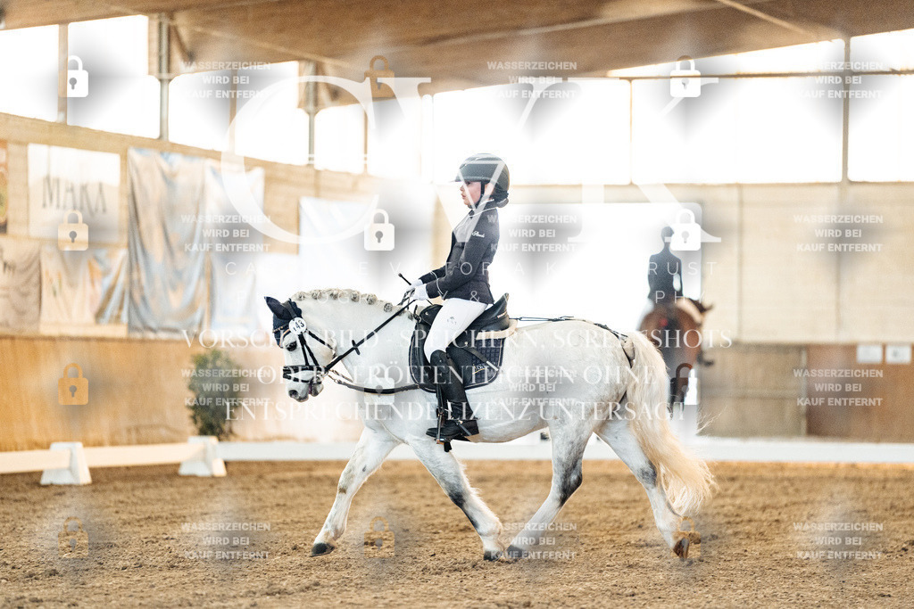 CK906439 | Turnierfotografie Pferdefotografie Trier Rheinland-Pfalz Pferdesport Reitsport Tierfotografie Sportfotografie Pferdevideo Pferdevideografie Equestrianvideography equestrianphotography  - Realized with Pictrs.com