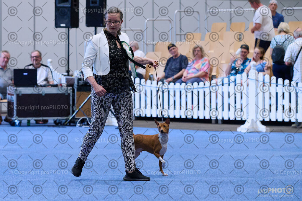 202406_ÖKV-IHA-Tulln24_DSC_3950 | proPHOTO - Realisiert mit Pictrs.com