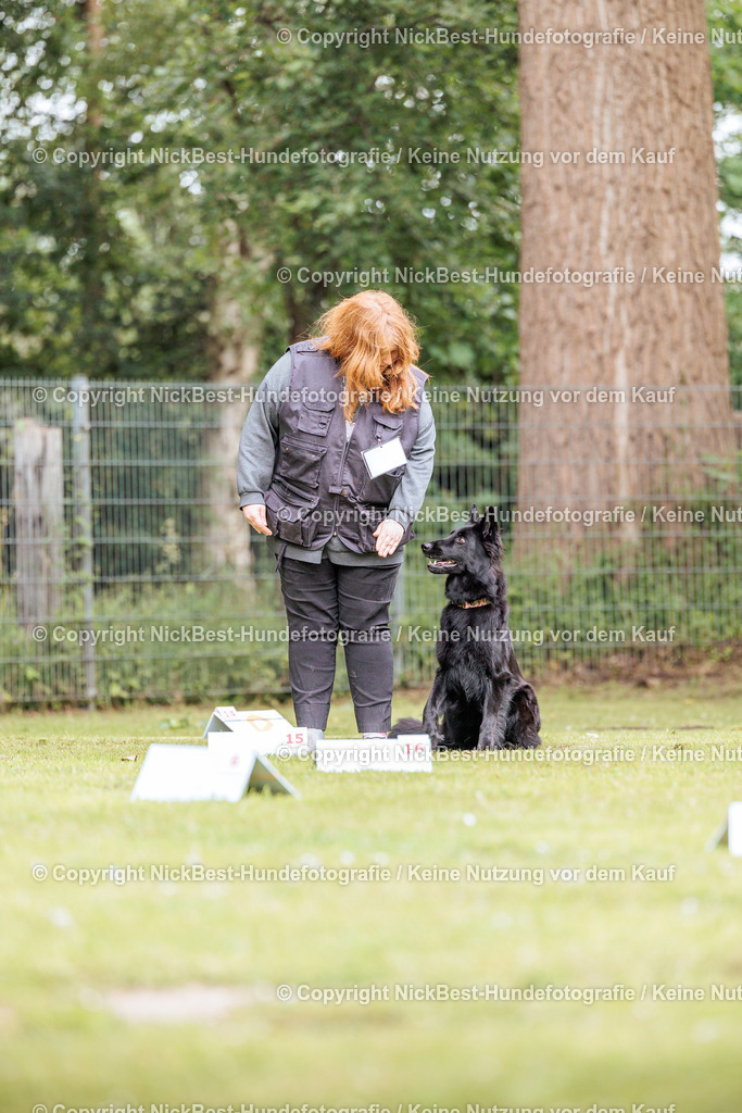 RO-Blumenthal-2026-Nickbest-Hundefotografie-3331 | Dein Hund! Dein Moment! Deine Erinnerungen! Hundefotografie in Bremen Blumenthal. Ich fange die besonderen Momente deines Vierbeiners ein – ob Indoor mit Blitzanlage oder in der freien Natur. Sicher dir dein Moment und dein Termin für eure Erinnerungen.
