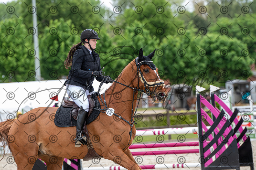 KPT_8751 | andre_photographic