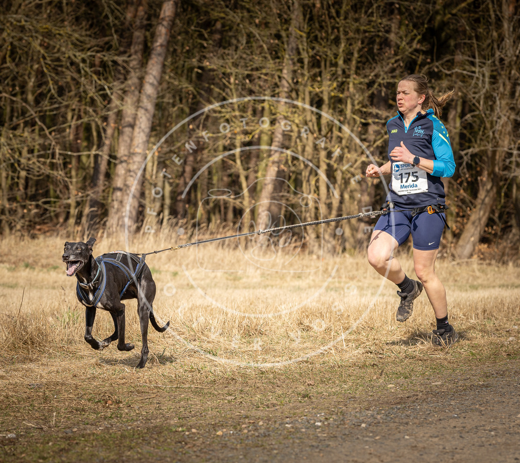 DV3A5644 | Hundefotografie, Tierfotograf, Pfotenfotografie, Fotoshooting Hund, Hunde Portrait, Hundesport, Hundeportraits, Heideshooting, Hunde, Sportfotograf, Hundefotograf, Turnierhundsport, THS,  - Realisiert mit Pictrs.com