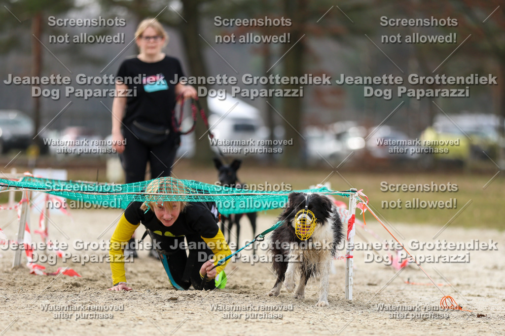Dog Paparazzi - Strongdog North Mrz26-5630 | Dog Paparazzi Jeanette Grottendiek Fotografie & Videografie - Realisiert mit Pictrs.com