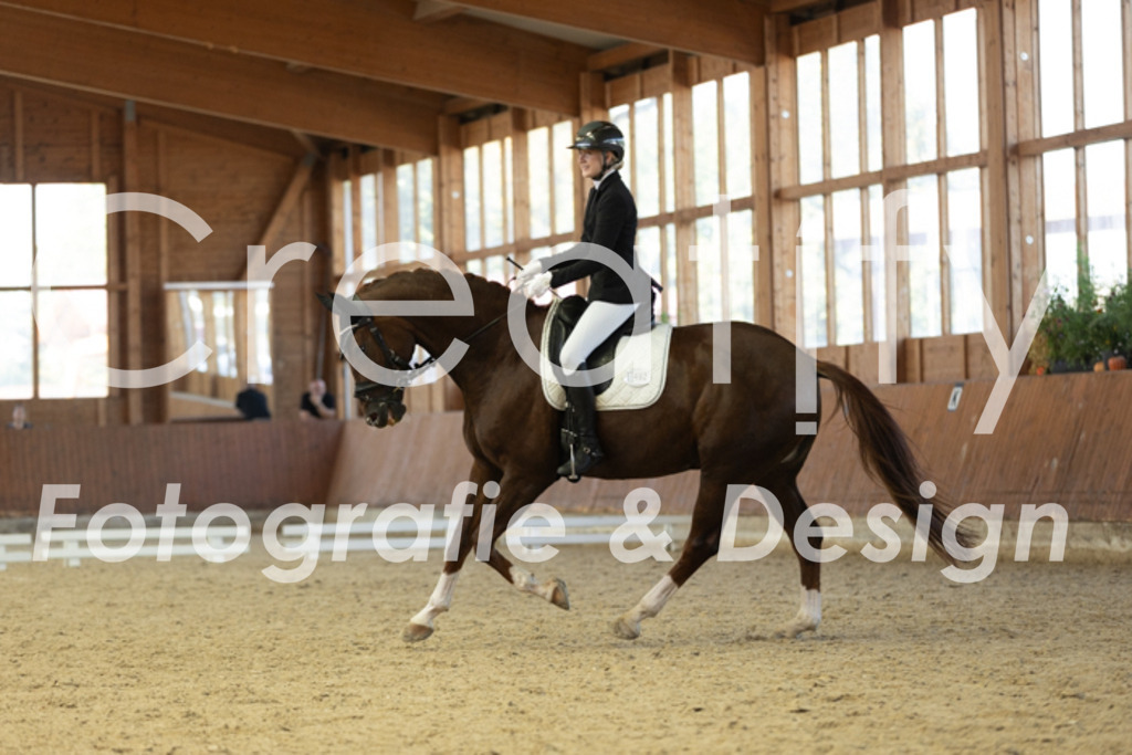 IMG_9249 | Creatify Fotografie