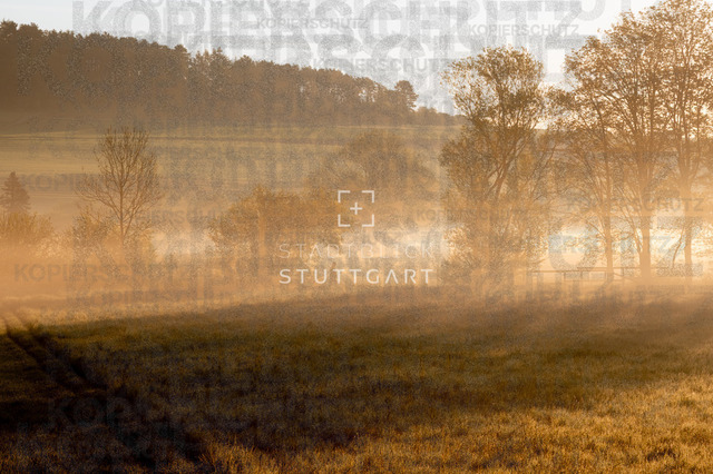 _DSC4265 | "Entdecken Sie atemberaubende Bilder von Stuttgart im Fotowerk Stuttgart! Kaufen Sie hochwertige Fotos auf Leinwand oder laden Sie digitale Downloads für Ihre Wohnung oder Büros herunter.  - Realisiert mit Pictrs.com