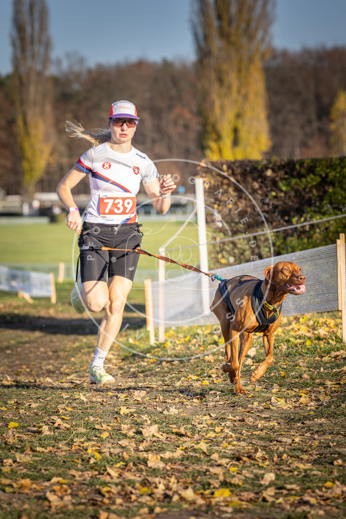 CaniXpix_DV3A2209 | Hundefotografie, Tierfotograf, Pfotenfotografie, Fotoshooting Hund, Hunde Portrait, Hundesport, Hundeportraits, Heideshooting, Hunde, Sportfotograf, Hundefotograf, Turnierhundsport, THS,  - Realisiert mit Pictrs.com
